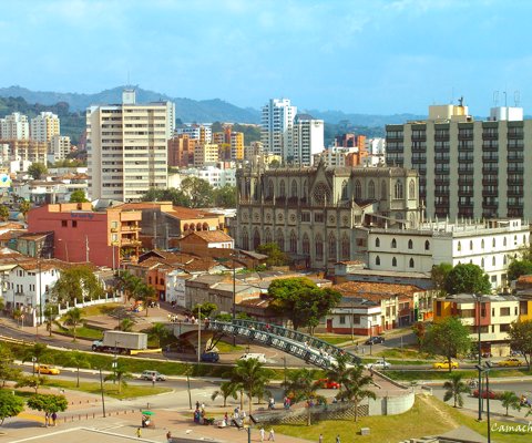 pereira_1080X900