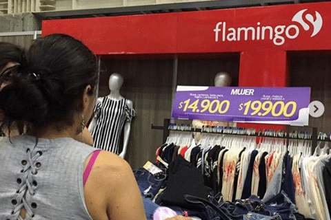 flamingo-2