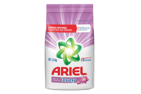 ARIEL FOTO PLEITO