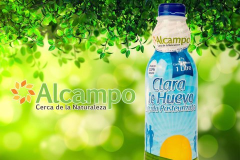 alcampo (1)