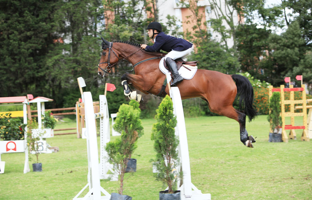 Seis campos para practicar equitación