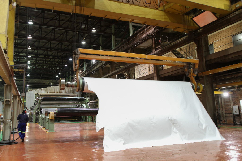 ¿Cómo se hace el papel? Producción de papel ♻️Fluye&Crea