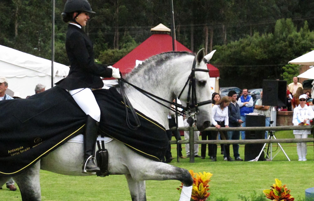 Top cinco de los mejores caballos españoles