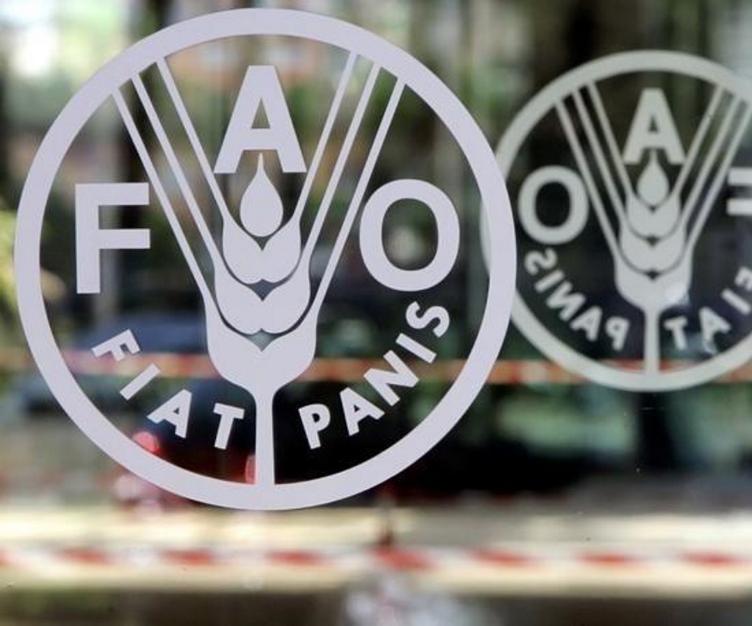 FAO