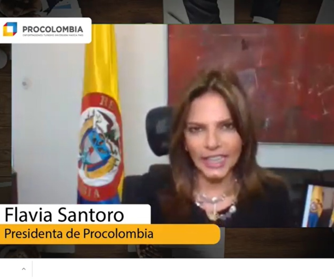 Flavia Santoro Últimas noticias económicas de Flavia Santoro