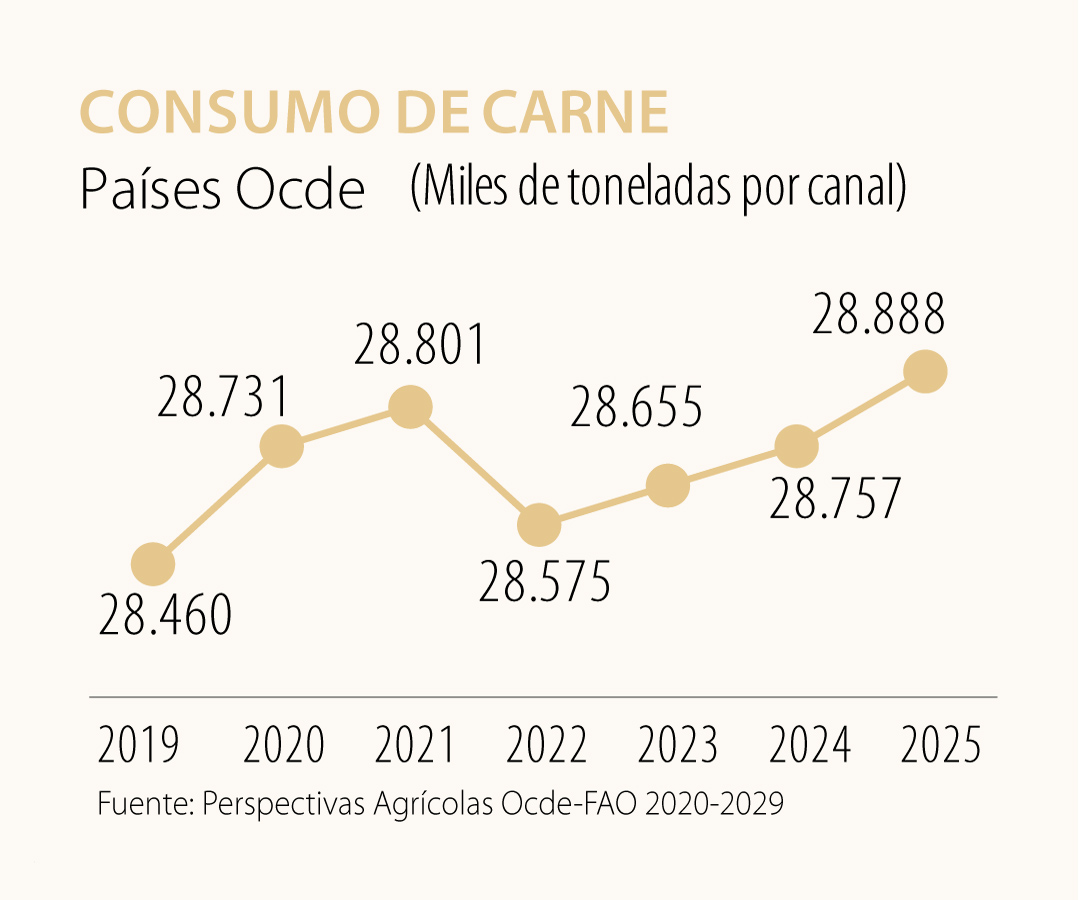 Consumo De Carne: Últimas Noticias Económicas De Consumo De Carne