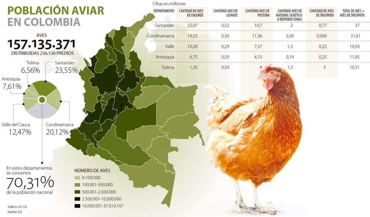 Santander Lidera La Produccion Avicola