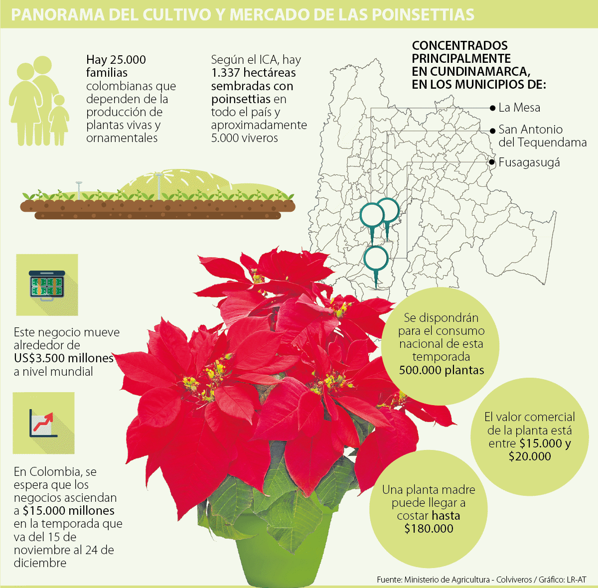 para que sirven las plantas ornamentales para que sirven las plantas ornamentales