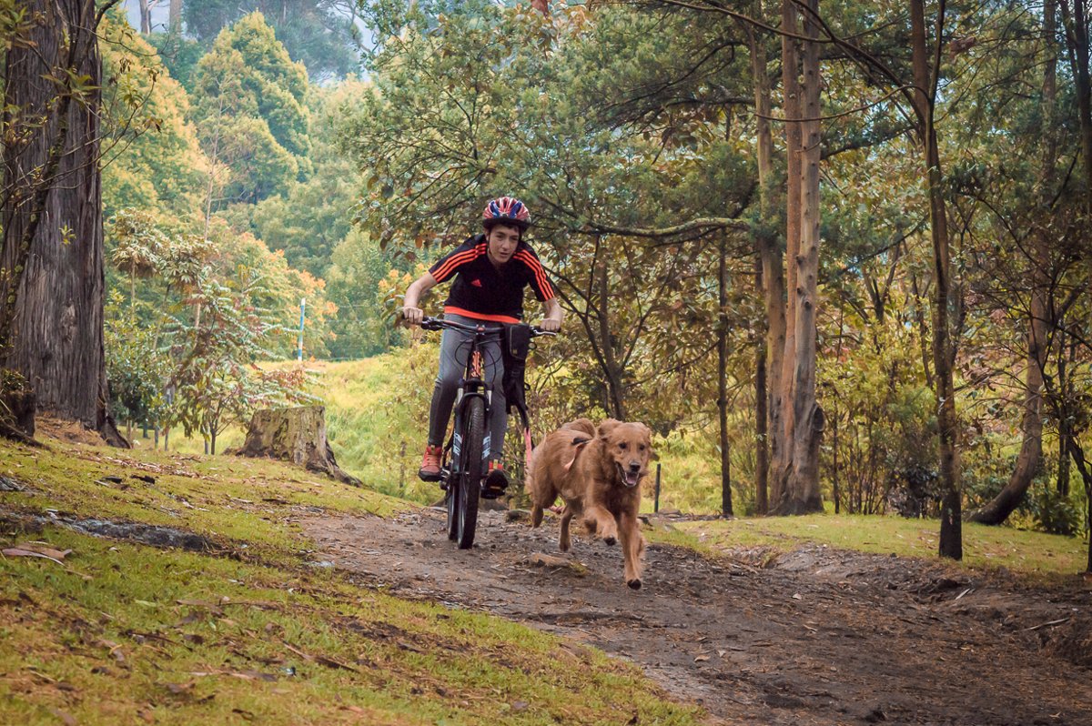 Canicross, Bikejoring y Scooter Joring, los deportes de moda para