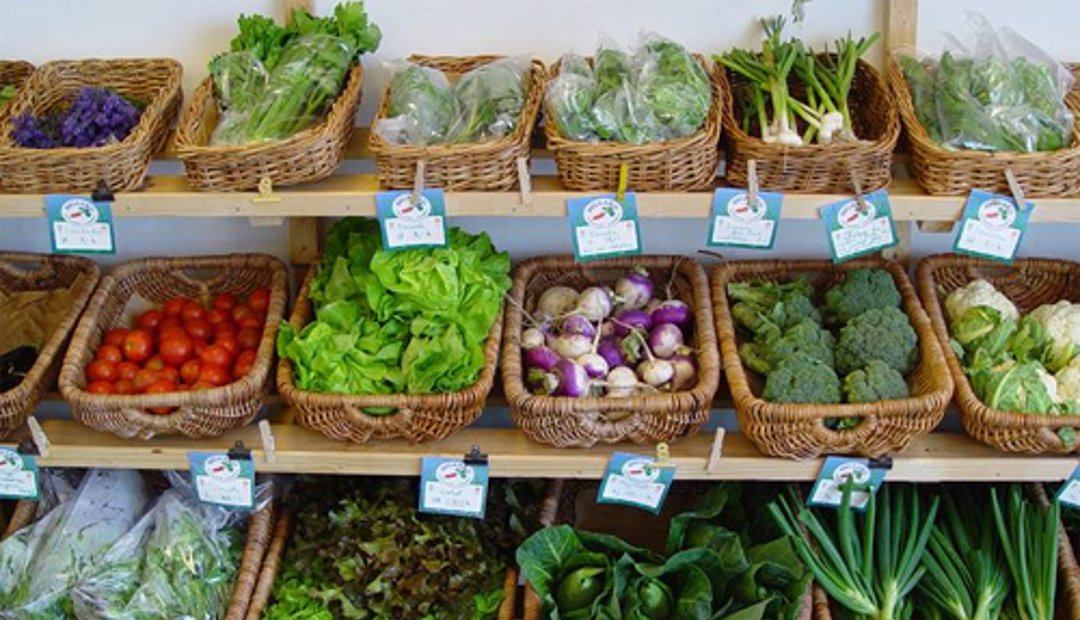 Feria Carulla Es Saludable Tendra Actividades Gastronomicas Y Nutricionales Durante Cuatro Dias