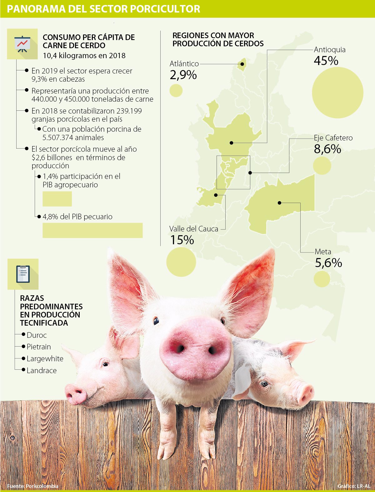Produccion Nacional De Carne De Cerdo Noticias de Carne