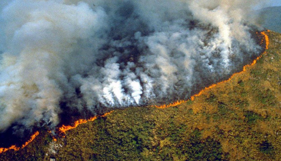 Los incendios en la selva amazónica de Brasil aumentaron notablemente en julio