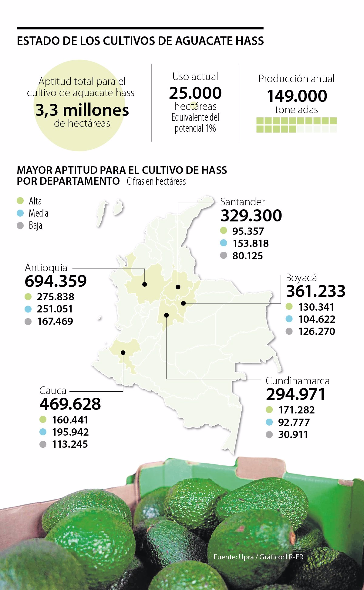 Van más de 25.000 hectáreas cultivadas de aguacate hass y hay un potencial de 3,3 millones