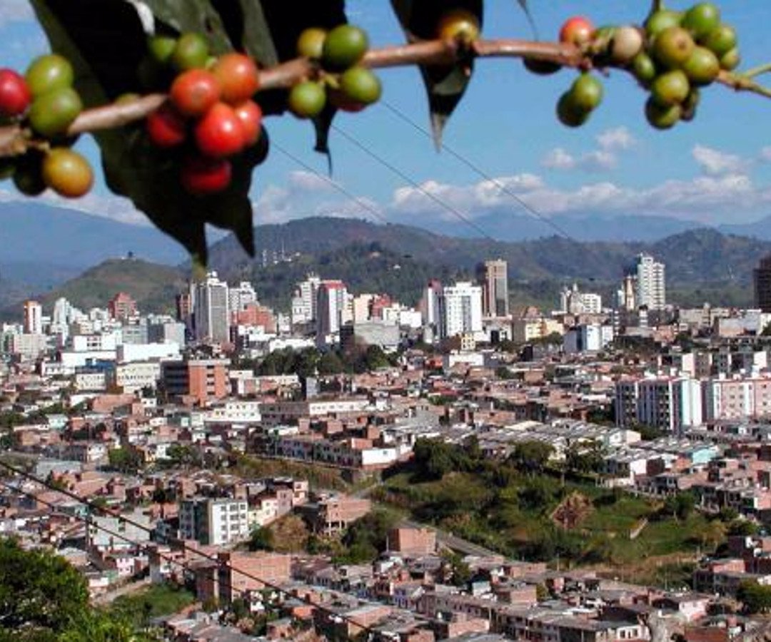 Pereira será el epicentro de la economía naranja en ...