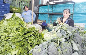 Resultados de búsqueda para aumenta el cultivo de hortalizas