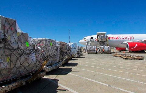 Carga De Flores En El Aeropuerto Eldorado Crecio 33 En Mayo