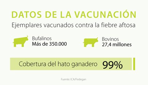 M&aacute;s de 27 millones de bovinos fueron inmunizados en el primer ciclo de vacunaci&oacute;n