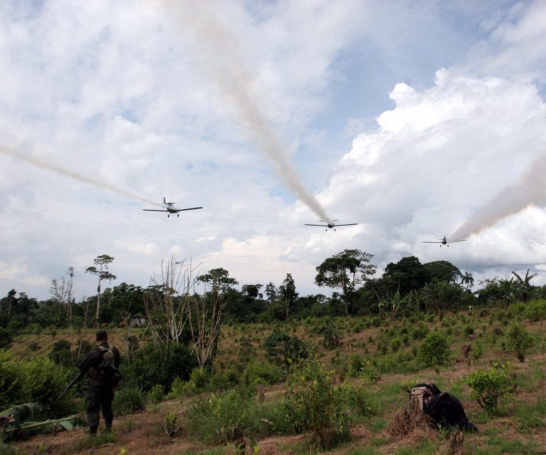 Duque Dice Que Sigue Proceso Para Retomar Fumigaciones Aereas Con Glifosato