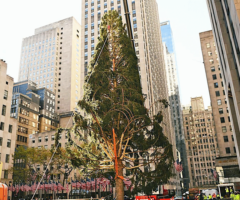 The holiday season arrived in New York